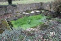 Kerezoc