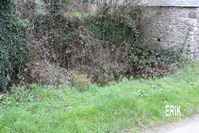 naount1