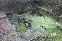 treongar1